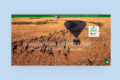 Lindberg-Safaris-case-study-480x298