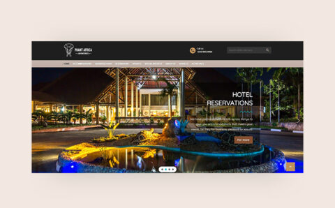 Phant-Africa-case-study-480x298